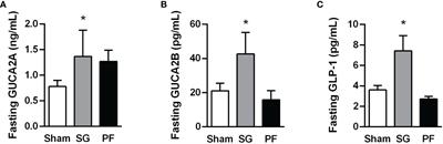 Effect of guanylin peptides on pancreas steatosis and function in experimental diet-induced obesity and after bariatric surgery